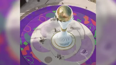 Cup Reveal